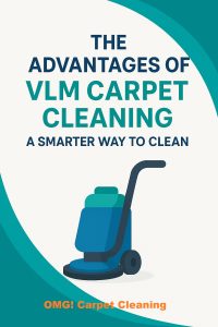 Advantages of VLM Carpet Cleaning