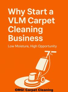 Why Start A VLM Carpet Cleaning Business